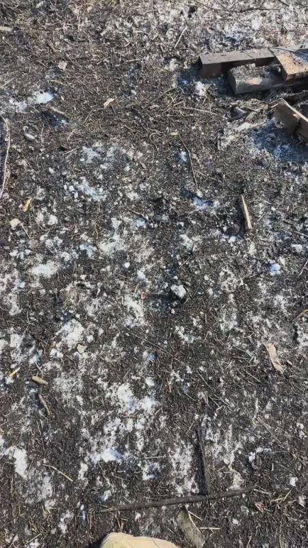 ������ �������: ������������ ������ �������� ��������� ������ �� ����-�������� �����������