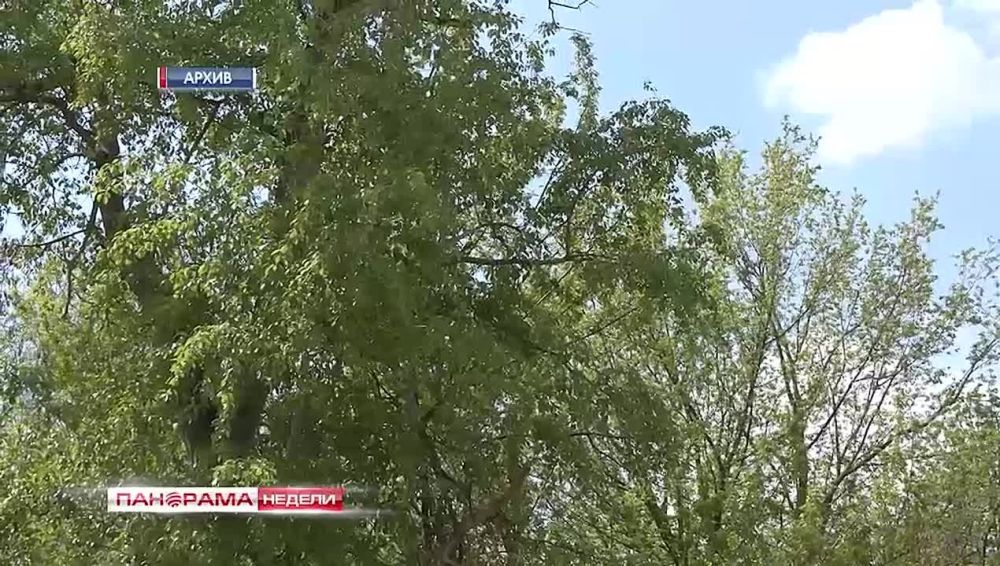 �������� � ��������! � ��� ���������� ����������� ����