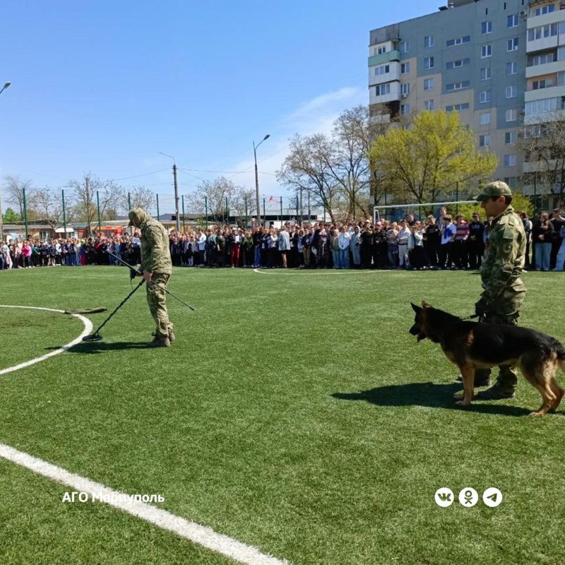 ��������� � �������� �� �41 ������� ��������������� ���������������� �������
