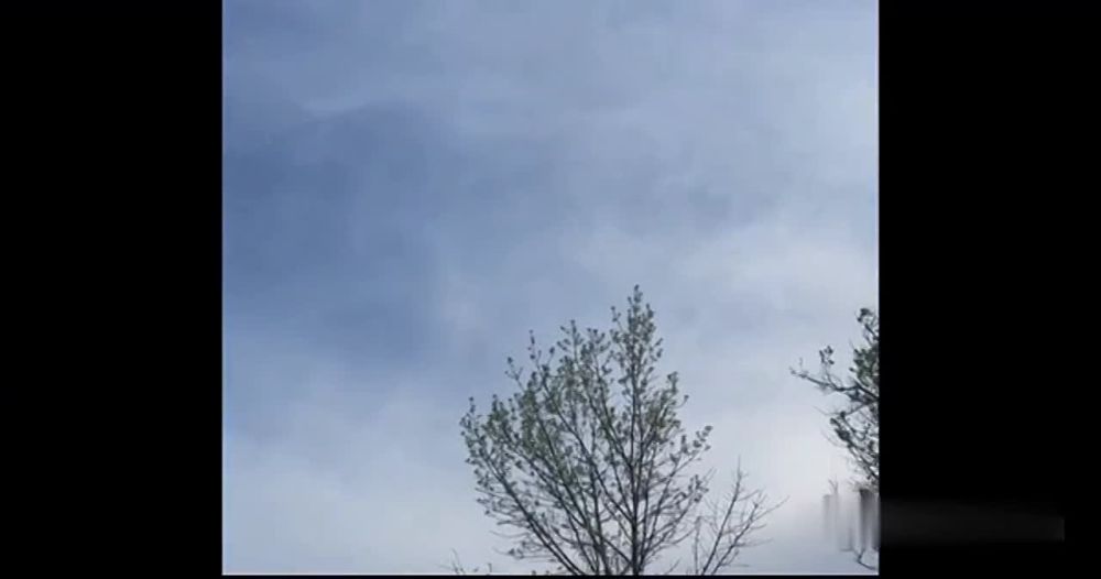 ������ �������: ��������� �������� ������� ����������� "������" �� �� �� ������� ����� ��� ���� ���� ���������� �� ����-�������� �����������