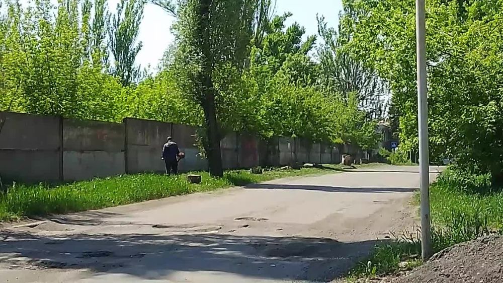 � ��������� ��������������� ������ ������� ������ �� ������ �����