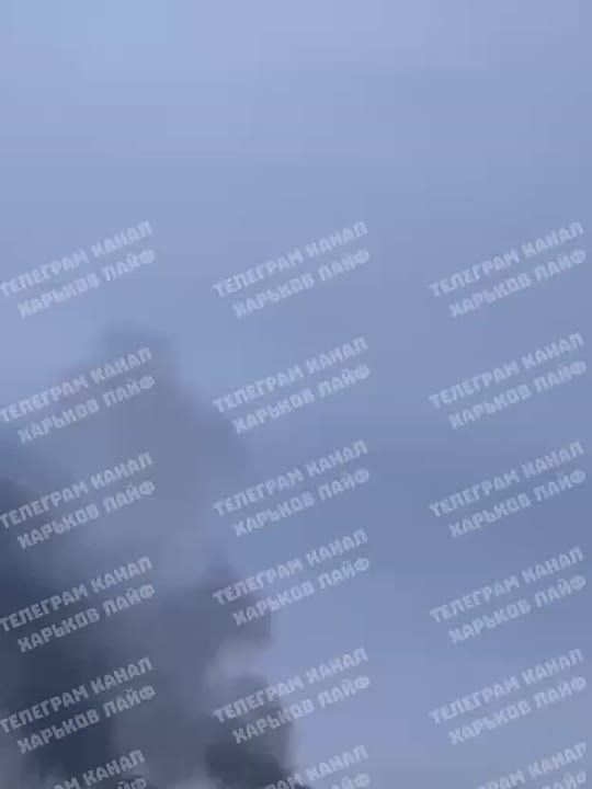 ������� �������: ����� ����� �������� ������� ���� � �������� � �����������