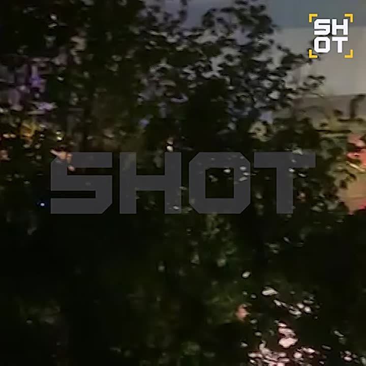 ���� ����: 105 ���������� ���� ���� ����� ���������� ����������� ���������� ���: 32 � ��� �������� ���, 22 � ��� �����������, 19 � ��� ���������� ��������, 10 � ��� ���������� ���, 9 � ��� ���������, 6 � ��� ������������...