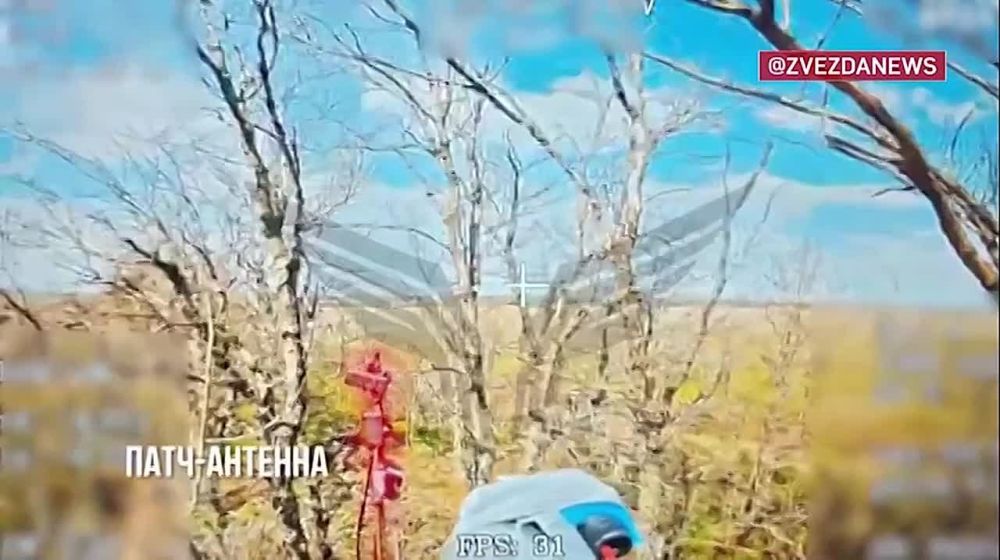 ���������� RADA ����������: ���������������� ������� � ����������� ������� ����� ������ �� ����� ���� ��������� �� ����-�������� �����������