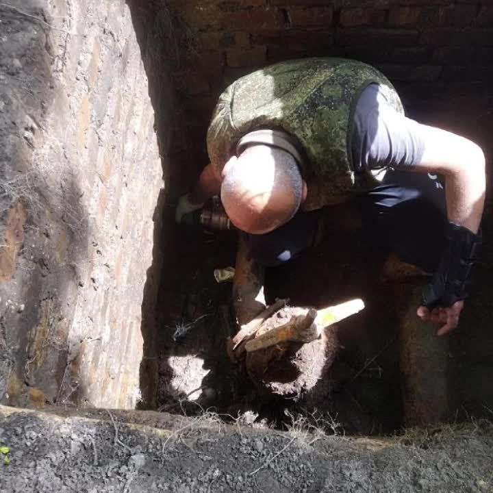 ��������� �������: ������� ������ �������� ��������� ������� ����������� � ������������� � �����������