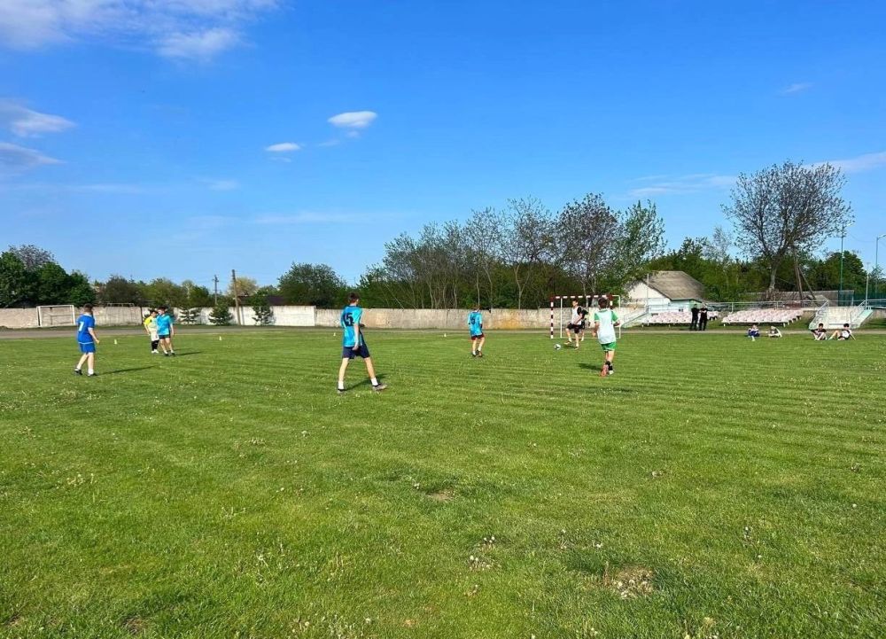 06 ,  .       2010-2012 .