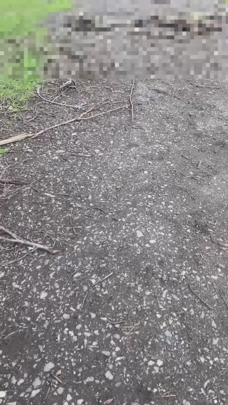 ������ �������: ������������ �� ����-�������� ����������� ������� ���������� ������������