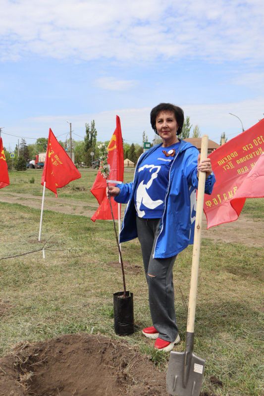 ��������� ��������: � �������� ������ ����� ���� 80-����� �������