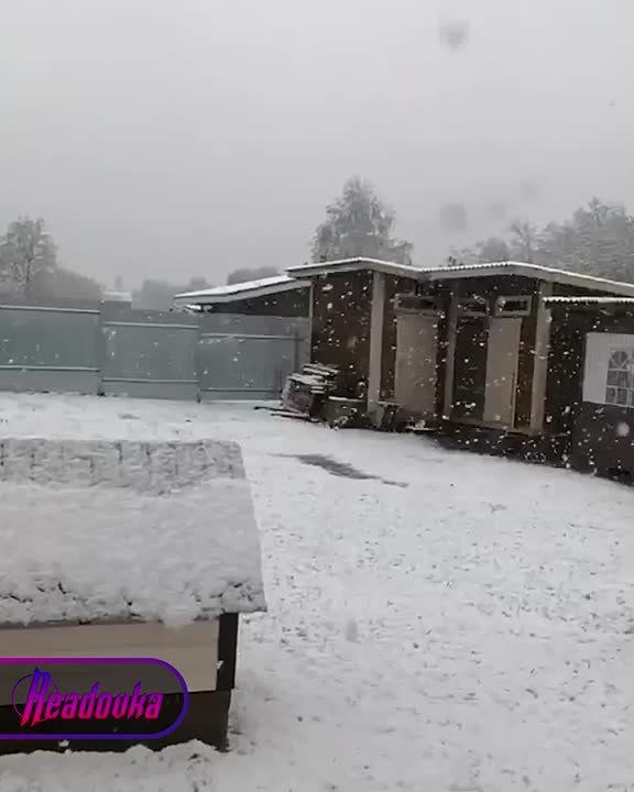 ���������� � ��������� �������� ������ ����� 9 ��� � ���� ��� ������� ������� ����������� � ��������