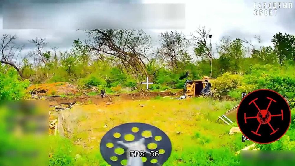 #���������. ����������� ������������ ��������� � FullHD 60 FPS! ��������� "������� ������" ���������� ���������� ������� �� ����������� ������� �������, ������� � ���������� ����� �� ���������� ����������� �� ���� ��� ���...