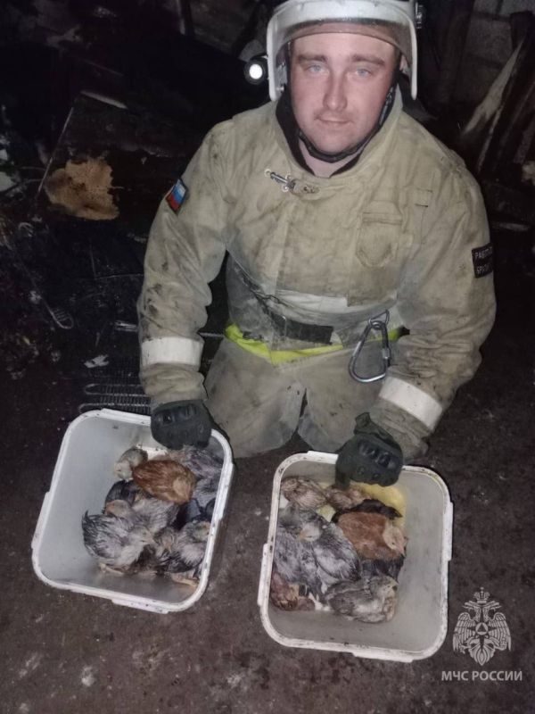 #* �������� ���������� �������� �� �������� � ����� ����: