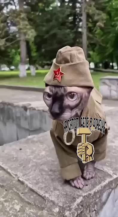������ ��� �� ������ ������� �����