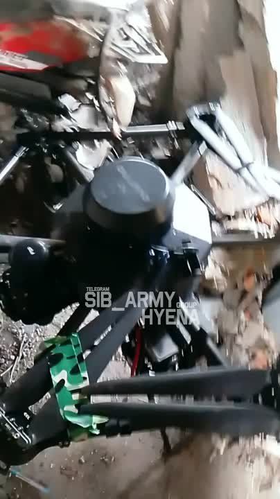 ����������� ��� ������ ����� �������� ���� ���� ���������� � ��������� ���������