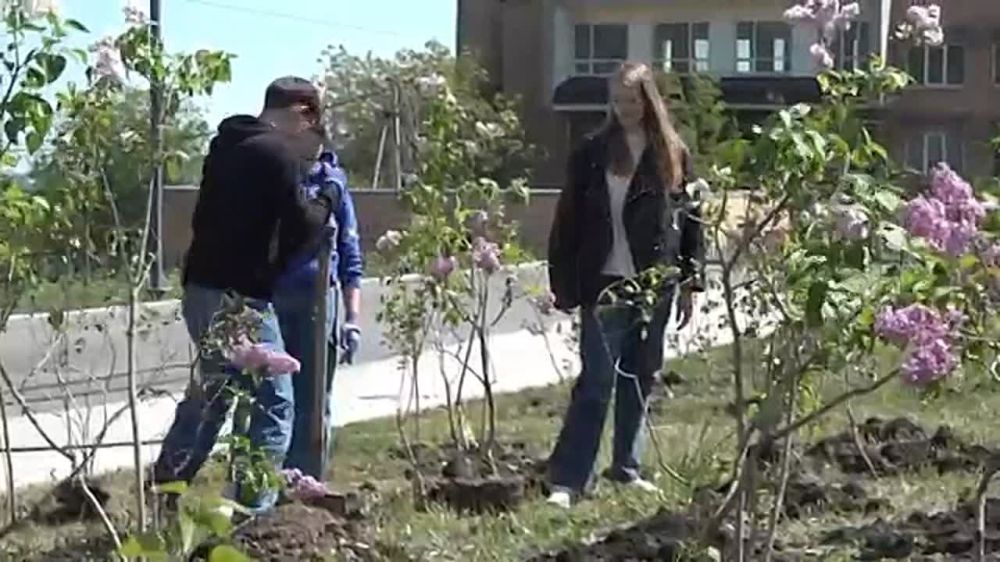 ������ ��������: ������ ������� � ������������� ����� �������� ��������, ������� ���������� � 11-� ��������� �������� �������� ����������