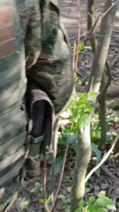 ������� ��������: ���������� �����������.. ������� �� ��������� � ������ ������ ������ ���������� ��������. ��� ����� �� ������ ������� ������ ��������� ������