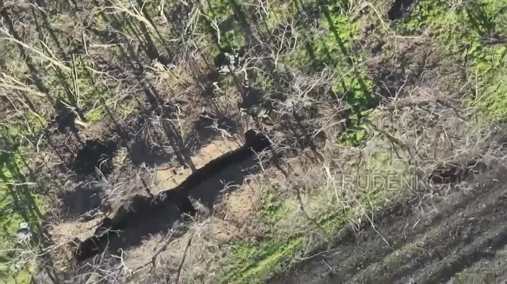 ������ �������: ��������� fpv-������ ����������� ����� ������� ������� �������� ����������� ��� �� ����-�������� �����������