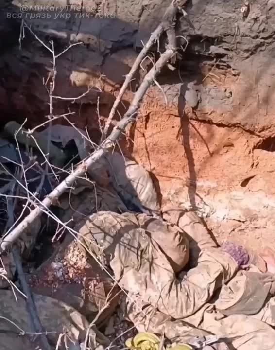 ���������� �����������. ������������������ ���������� �������, ������� �� �������� ��������� � ����