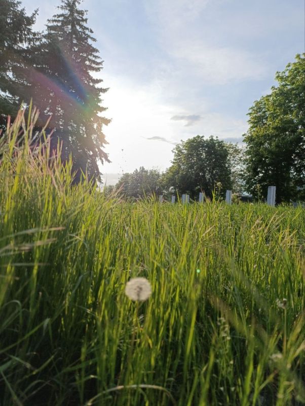 Игорь Лызов: Доброе утро, Амвросиевский муниципальный округ!