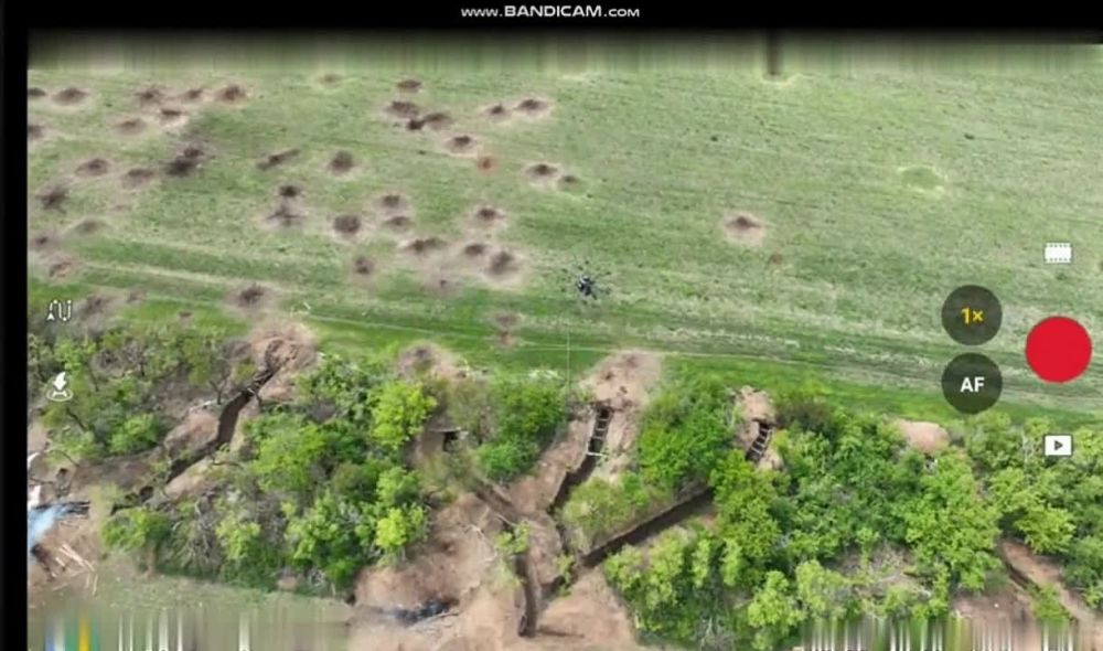 ������ �������: ��������� ���� ���������� ������ ��������� ���������� ����������� "������" �� �� �� �������, ������� �� ��������, ����� ��� ���� ���������� ����-�������������� ���� "���� ���" �� ����-�������� �����������