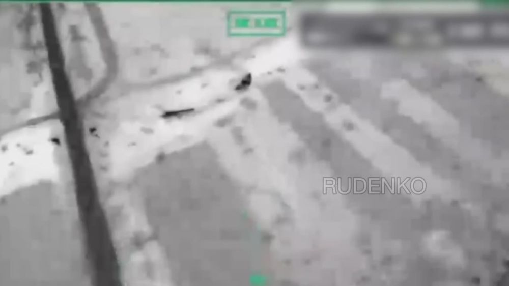 ������ �������: �������������� ����������� ������� ���������� ��������������� �113 � ������ ������ ��� �� ����-�������� �����������