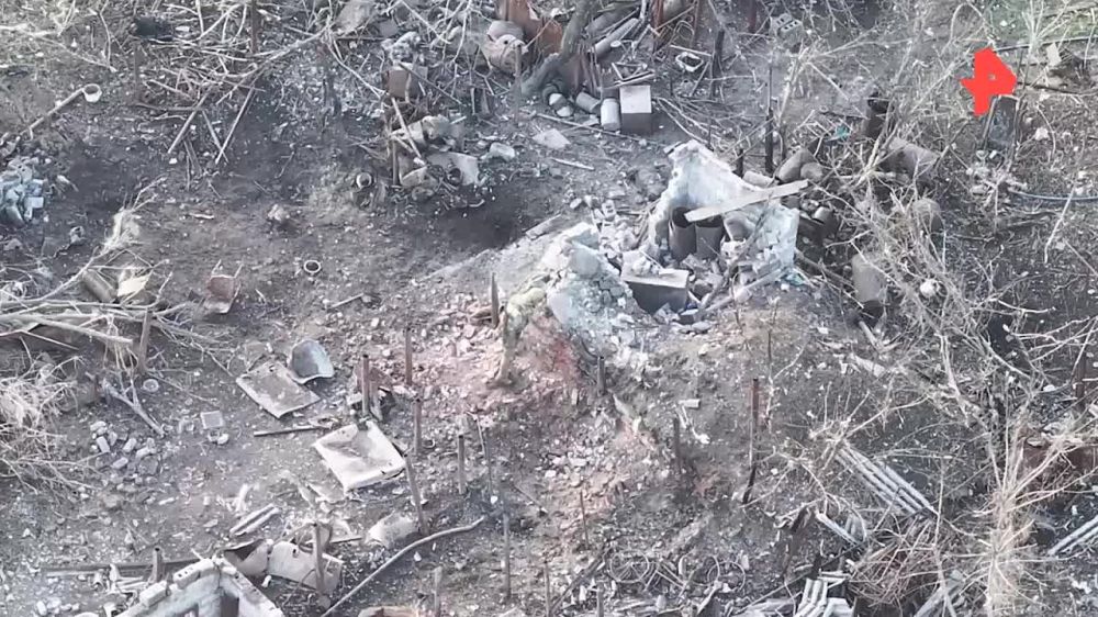 ���������� �������������� ���������� �� ������������ ���� ������� � ���
