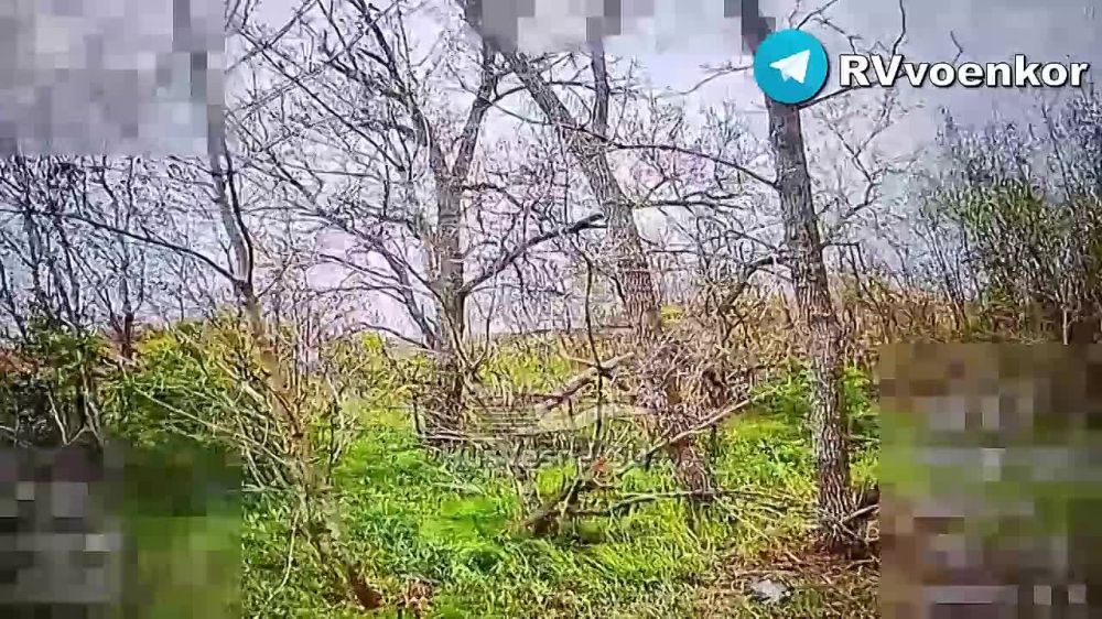 �������� ���� ��������� ������� � ���������������� �������, �������� � ������� �������
