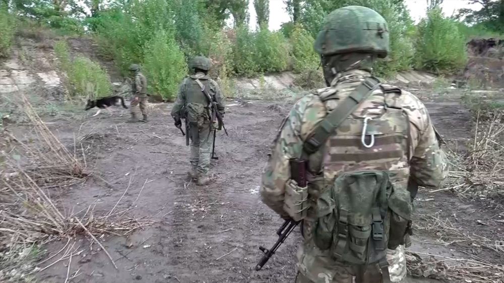 ���. �������. ����������� ����� �� 13.05.2025