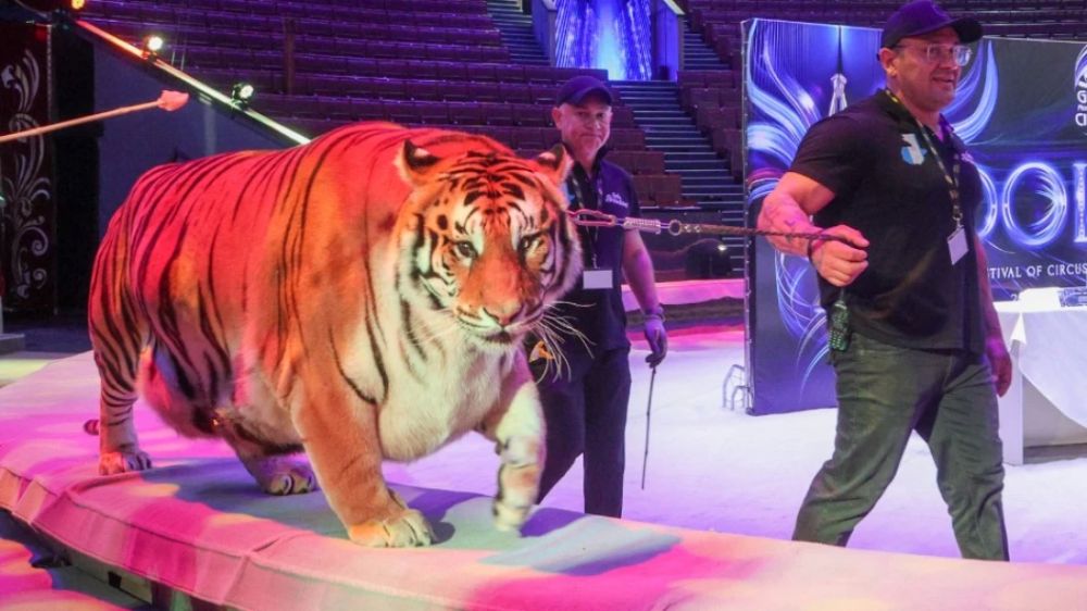 ������� ���������� ���� ��� ������������� � �������� �������� ����������