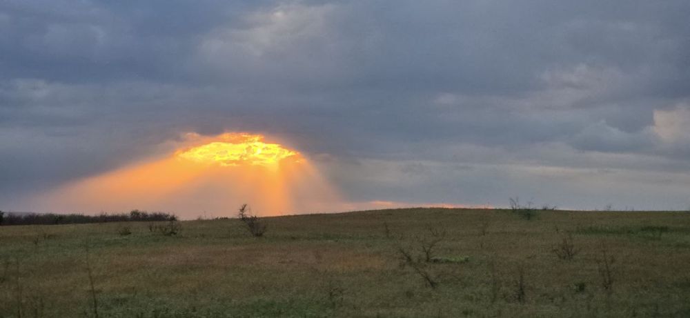 ������ �������: �������. � � ���, � ������� ���� �����������