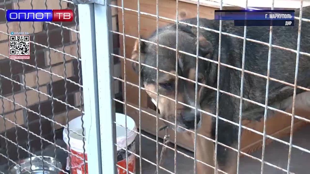 � ��������� �������� ������������������ ������������ �����