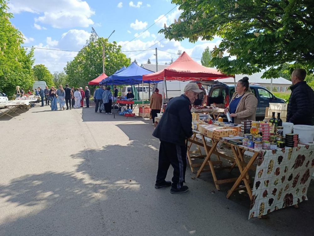 ������� ��������: � ������� ����������� ������ �������� �������