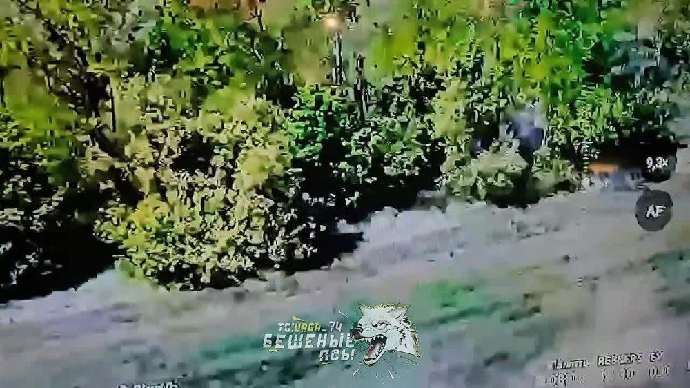 ��������� ������� �������� ���� ��������� ��������� ������� ��� ����� �������� ����������, ������������ �� FPV-������, ������������ �������� ��������� � �������� ��������� ������� ����������