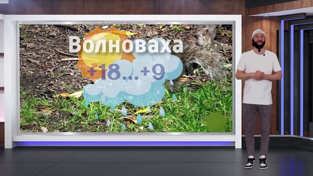 ������� ������ �� 15.05.2025