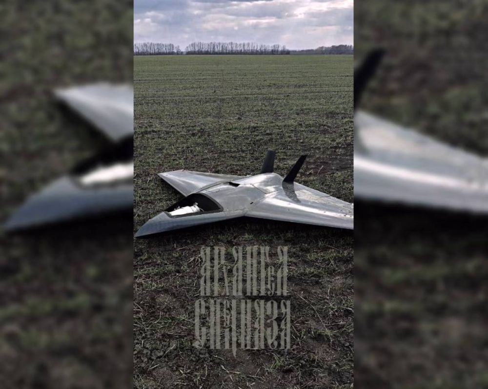 ��� ���� �������� �������� �� ������� �����������