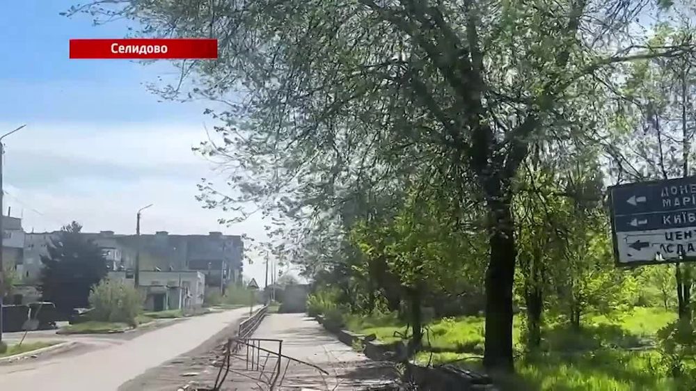 Сотрудники полиции уничтожили БПЛА неонацистов в Селидово