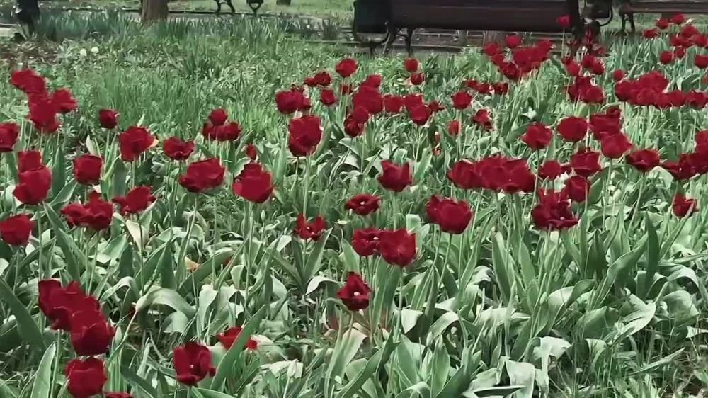 «Я просто понял, что этим я даю людям надежду!»
