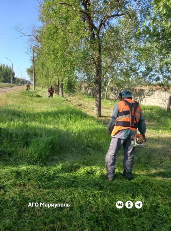 В Мариуполе коммунальщики ведут активный покос травы