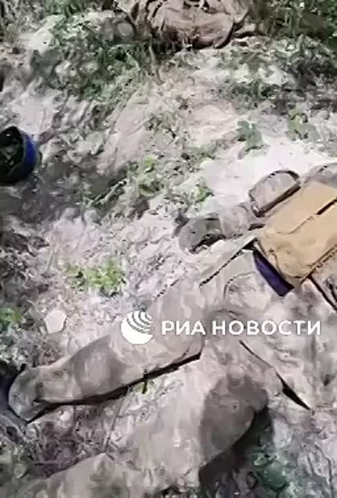 ���������� ������ ���������� ������������� �� ����� ������� ��������� ������� ����������� "�����" ��� ��������������� � ���, �������� ��� ������� � ���������� ������� ����������