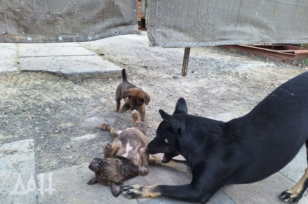 � ������� � ������ ��� �������� 113 ����� � ����� ������ ���������