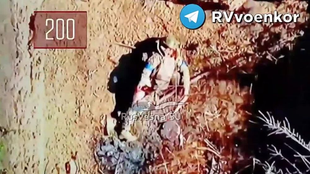 Ожесточённые бои у Покровска: «тважные» массово жгут танки, НАТОвскую технику, пехоту и артиллерию врага