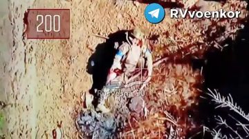 Ожесточённые бои у Покровска: тважные массово жгут танки, НАТОвскую технику, пехоту и артиллерию врага