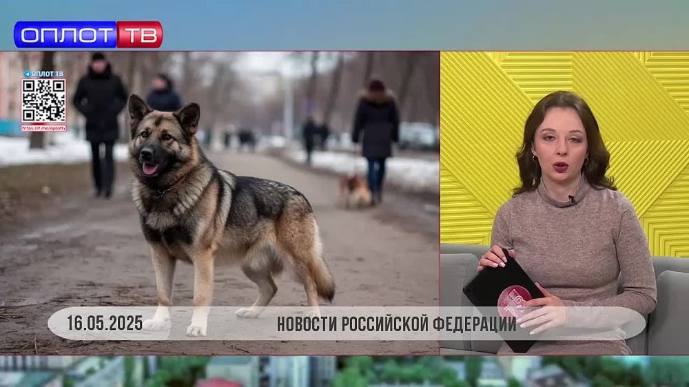 ���������� ������� ������� ������ �������� �������� ����� � ���