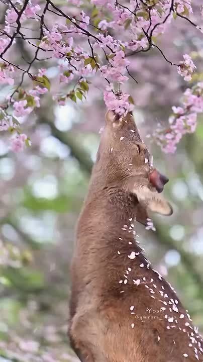 � ������ �����, ���������!