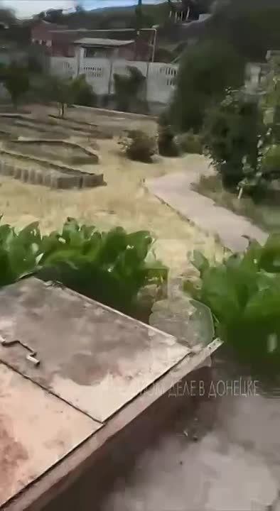 ������ ��� � ��������� �� 14 ��������� ������