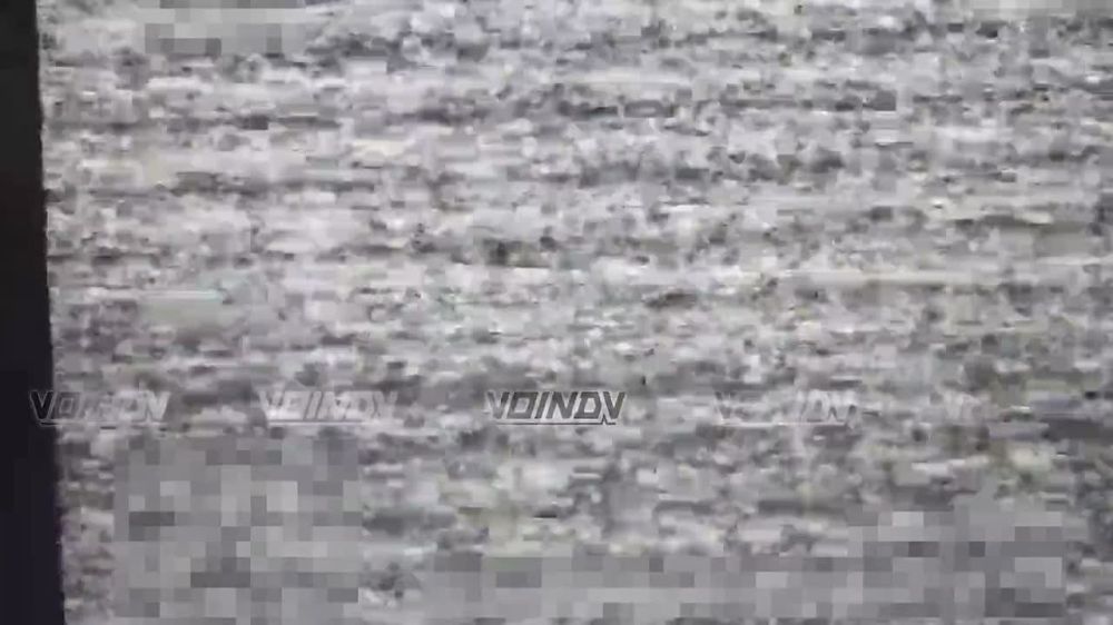 ��������� �������: ��������� ���� 14 ��������� ����������� ������� �������� ����������� "������" ����� ��� "����-���" �������� �� ����-�������� �����������