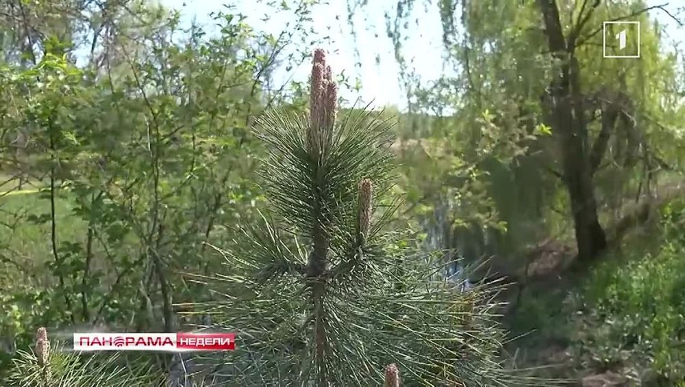 ����� �������� ������� ����� ������! ��� ���� ����������� ����� � �������? 18.05.2025, ��������� ������ � ������� �������