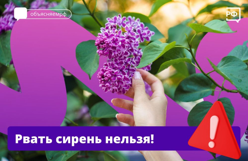 ��������� ��������: �������� ������ �������� ����� � �����, � ����� � ������