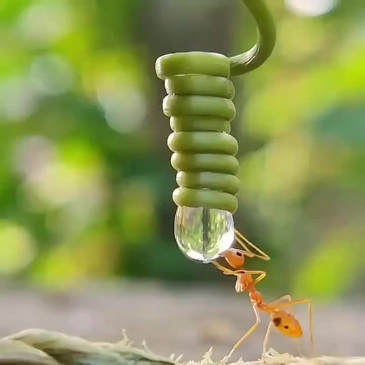 � ������ �����, ���������!