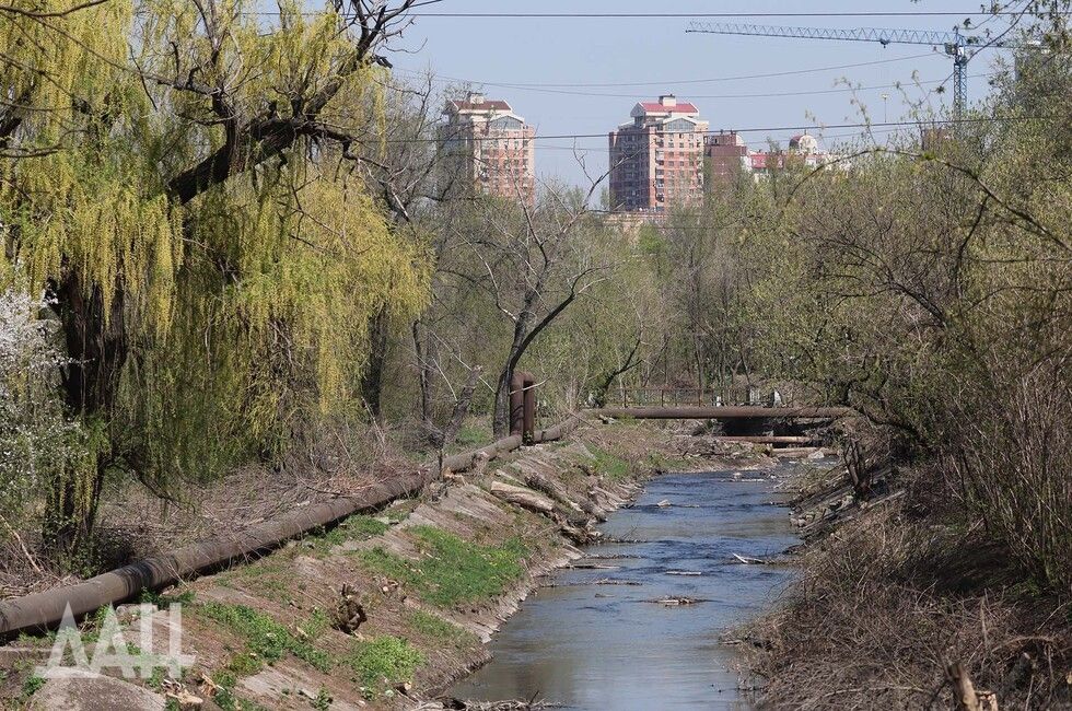 ���� �������� ��������. ��� ����� ������