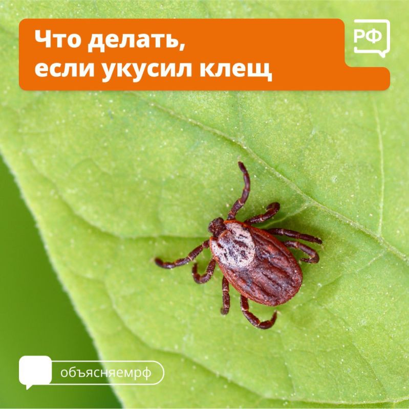 � ���� ���� ��-�� ����� ������ ����� ���������������� �� ����� ������ ��������